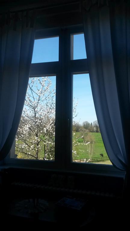 Chambres D'Hotes Du Haras De Coddes Cercy-la-Tour Cameră foto